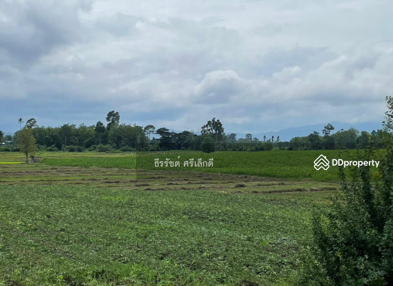 For Sale - Land for sale in Mae Sot, Tak, near the 2nd Thai-Burmese Friendship Bridge Ring Road, Tak