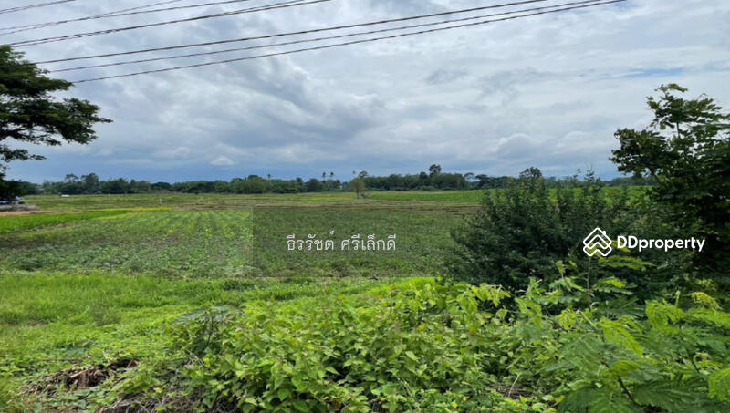 For Sale - Land for sale in Mae Sot, Tak, near the 2nd Thai-Burmese Friendship Bridge Ring Road, Tak
