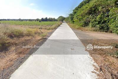 ขาย - ที่ดินเปล่าเมืองนครราชสีมา 1 ไร่ 100 ตร.วาบ้านหนองบัว ต.บ้านโพธิ์ อ.เมืองนครราชสีมา, นครราชสีมา