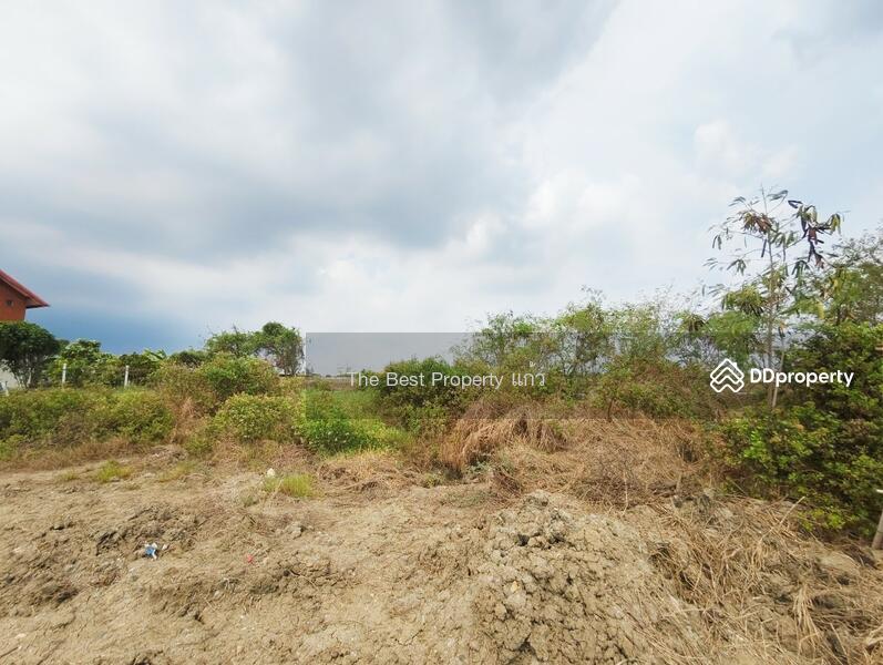 ขาย - ที่ดินบางปะกง ฉะเชิงเทรา, ฉะเชิงเทรา