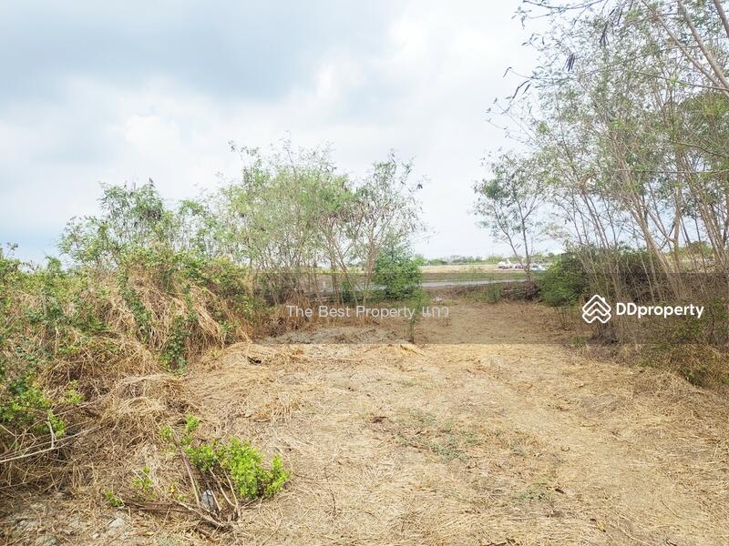 ขาย - ที่ดินบางปะกง ฉะเชิงเทรา, ฉะเชิงเทรา