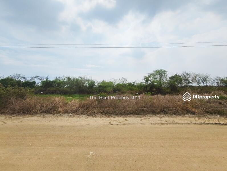 ขาย - ที่ดินบางปะกง ฉะเชิงเทรา, ฉะเชิงเทรา
