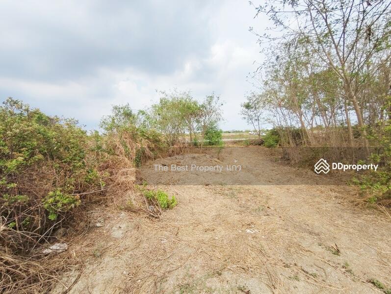 ขาย - ที่ดินบางปะกง ฉะเชิงเทรา, ฉะเชิงเทรา