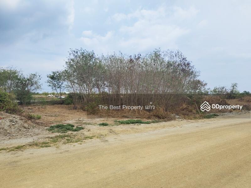 ขาย - ที่ดินบางปะกง ฉะเชิงเทรา, ฉะเชิงเทรา
