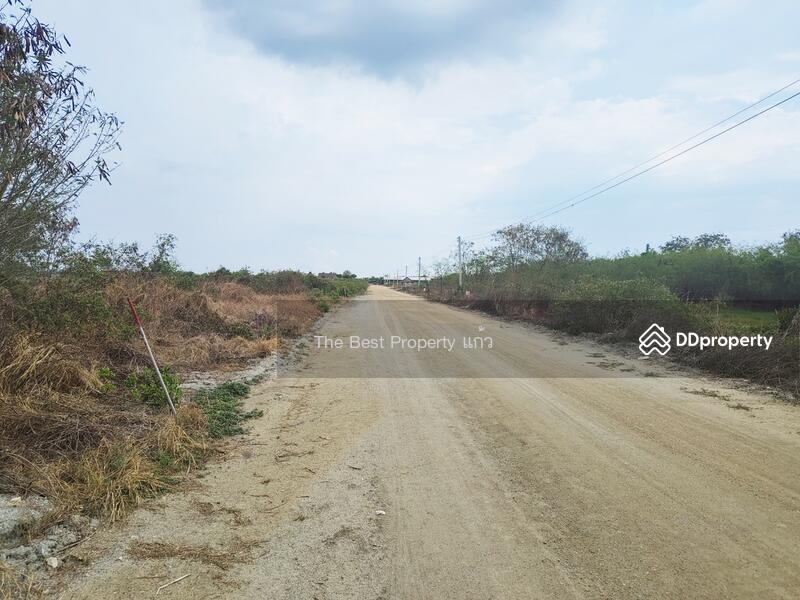 ขาย - ที่ดินบางปะกง ฉะเชิงเทรา, ฉะเชิงเทรา