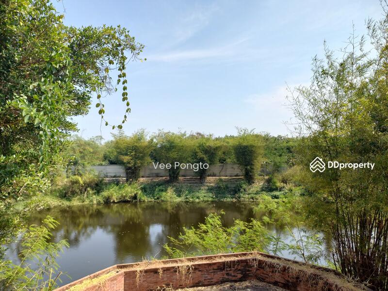 For Sale - Exclusive Estate for Sale or Rent in Thap Tai Hua Hin, Prachuap Khiri Khan
