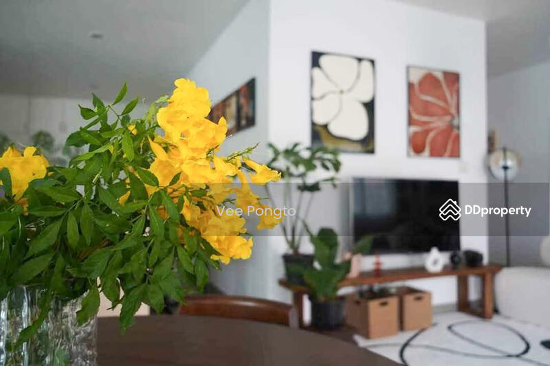 ให้เช่า - Orchid Paradise Homes : ออร์คิด พาราไดซ์ โฮม, ประจวบคีรีขันธ์