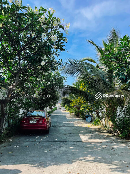 For Rent - Baan Finland, Prachuap Khiri Khan
