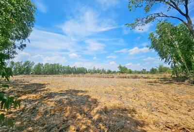 ขาย - ที่ดินเพ็ญ อุดรธานี, อุดรธานี