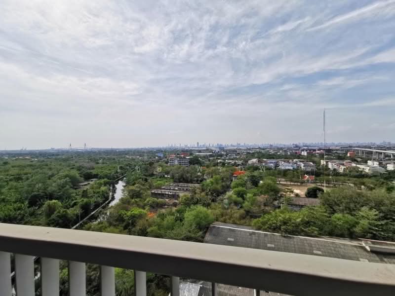 Aspire Erawan, Samut Prakan, Sukhumvit, Pak Nam, Muang Samut Prakarn, Samut Prakan, 1 Bedroom, 30 sqm, Condo For Rent, by เชอ พร็อพ, 11868496 - DDproperty.com
