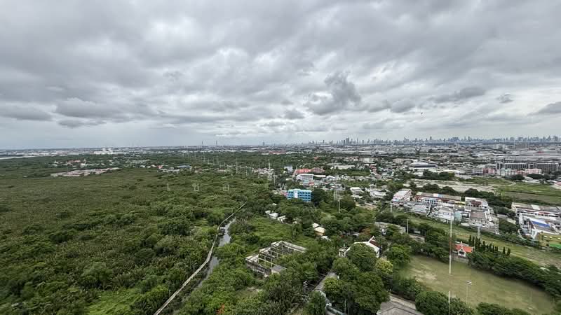 Aspire Erawan, Samut Prakan, Sukhumvit, Pak Nam, Muang Samut Prakarn, Samut Prakan, 1 Bedroom, 30 sqm, Condo For Rent, by เชอ พร็อพ, 11868496 - DDproperty.com
