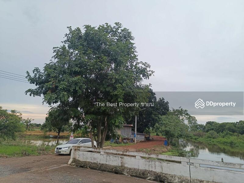 ขาย - ที่ดินบางคล้า ฉะเชิงเทรา, ฉะเชิงเทรา
