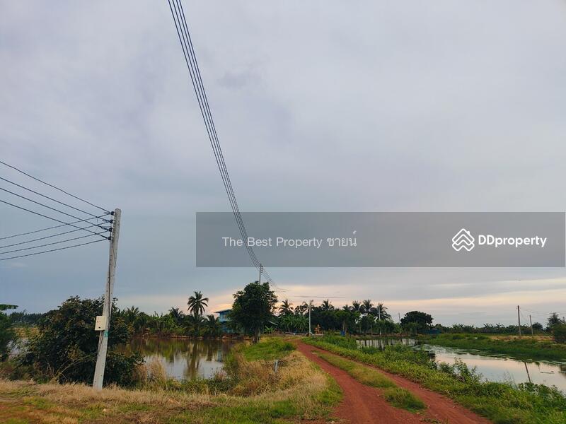 ขาย - ที่ดินบางคล้า ฉะเชิงเทรา, ฉะเชิงเทรา
