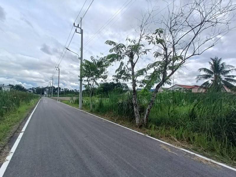 ทว, กรุงเทพ, ทวีวัฒนา, กรุงเทพ, 400 ตร.ม., Land ขาย, โดย คุณนพพล อภินนท์กูล, 11869437 - DDproperty.com