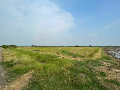 ขาย - ขายที่ดิน 9-1-23 ไร่ ตำบลโปร่ง อำเภอหนองโดน จังหวัดสระบุรี, สระบุรี