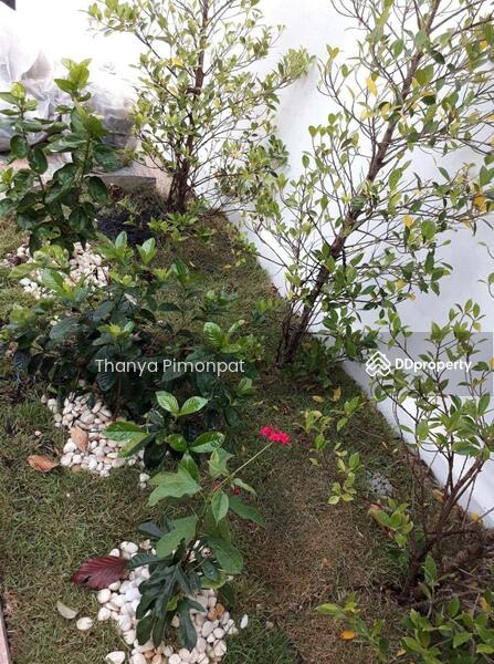 For Rent - 2 Bedroom House Near Nathon for Rent, Surat Thani