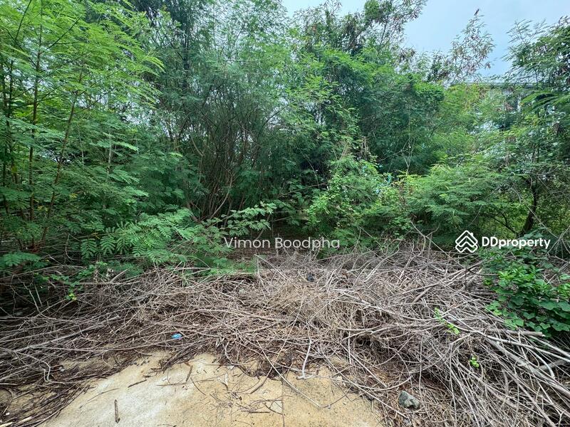 ขาย - ที่ดินเปล่า รัชดา, กรุงเทพ