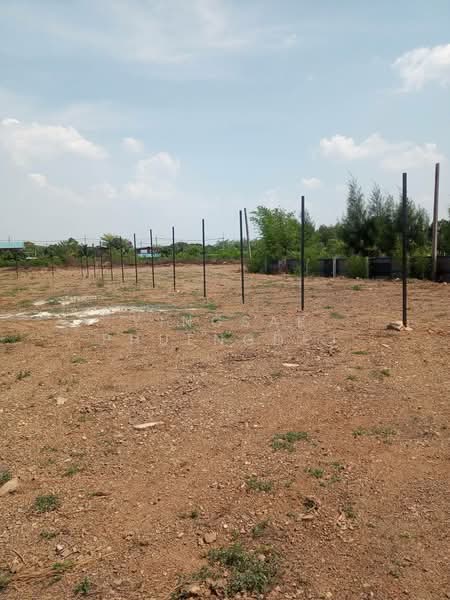 ให้เช่า ที่ดินเปล่า(ซอยตาโข่ง), Pathum Thani, เทศบาล7, Ra Haeng, Lat Lum Kaeo, Pathum Thani, , 11,808 sqm, Land For Rent, by Yingsak Phuengdej, 11870501 - DDproperty.com