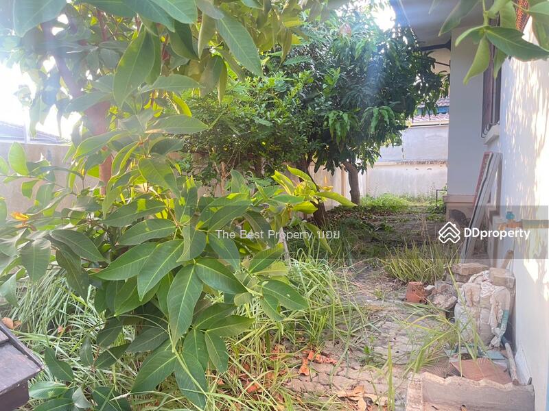 ขาย - บ้านเดี่ยวสันทราย เชียงใหม่, เชียงใหม่