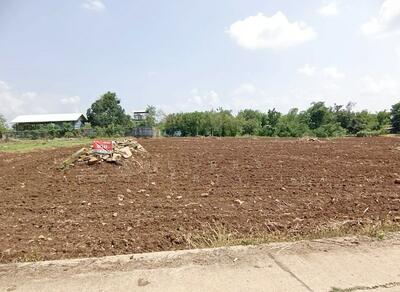 ขาย - ที่ดินบึงสามพัน เพชรบูรณ์, เพชรบูรณ์