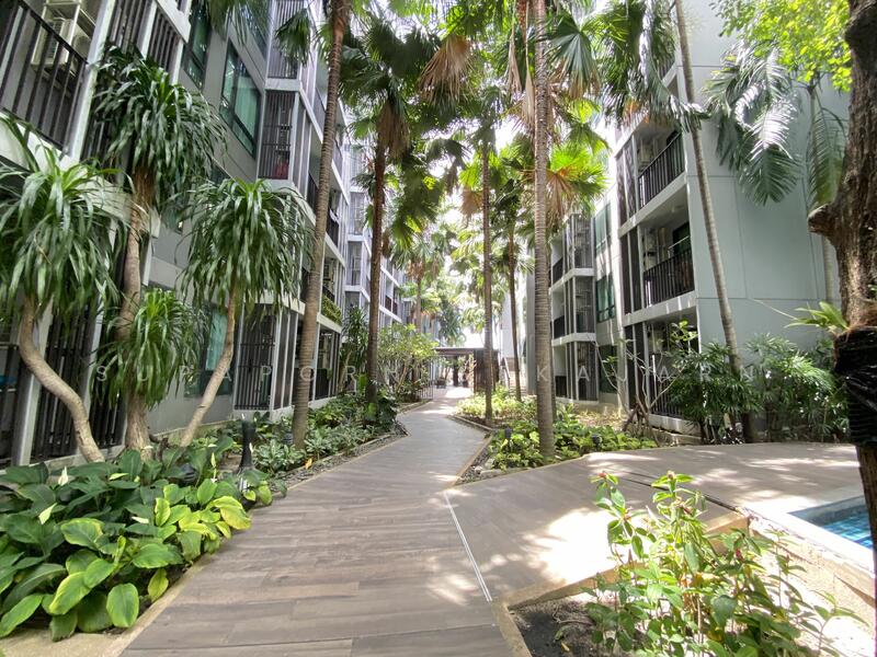Metro Luxe Riverfront Rattanathibet, Nonthaburi, Saima Soi 7 Road, Sai Ma, Muang Nonthaburi, Nonthaburi, 1 Bedroom, 28 sqm, Condo For Rent, by Supaporn Sekajarn, 11871297 - DDproperty.com