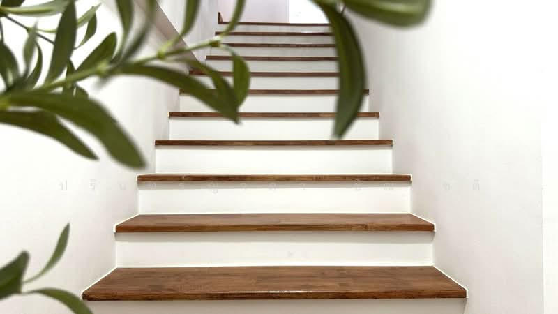 Modern Life On Nut 46 - Srinakarin 36, Bangkok, Suan Luang, Suan Luang, Bangkok, 4 Bedrooms, 185 sqm, Townhouse For Rent, by ปรินทร์ญาดา ชิณโชติ, 11871311 - DDproperty.com