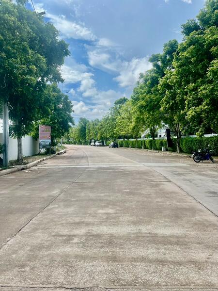 Suetrong Premium I AM Rama 2-Samae Dam, Bangkok, 481 Rama 2 Road, Samae Dam, Bang Khun Thian, Bangkok, 4 Bedrooms, 400 sqm, Single Detached House For Sale, by สรภพ ยอดไชย (สีฝุ่น), 11871450 - DDproperty.com