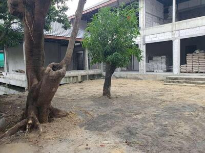 ขาย - ขายที่ดิน 240 ตรว.BTS ทองหล่อ สุขุมวิท38, กรุงเทพ