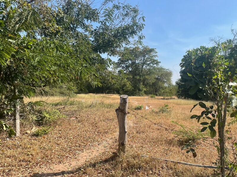 ขาย - ขายที่ดิน บัวใหญ่ โคราช 4-1-40 ไร่ ที่ดินเกษตร ผังเขียว มีบ่อน้ำ ใกล้ชุมชน เหมาะปลูกบ้าน ทำเกษตร, นครราชสีมา