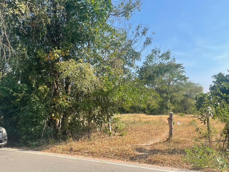 ขาย - ขายที่ดิน บัวใหญ่ โคราช 4-1-40 ไร่ ที่ดินเกษตร ผังเขียว มีบ่อน้ำ ใกล้ชุมชน เหมาะปลูกบ้าน ทำเกษตร, นครราชสีมา