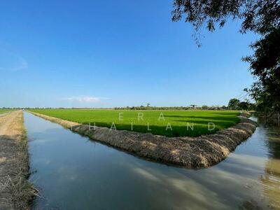 ขาย - ขายที่ดินเปล่า หนองเสือ ปทุมธานี เนื้อที่ 49 ไร่ 2 งาน 16 ตร.ว., ปทุมธานี