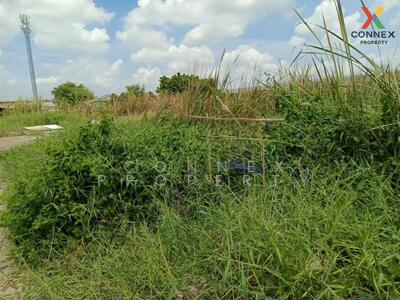 ขาย - ที่ดินเปล่าซอยไสวประชาราษฎร์ Vacant land Soi Sai Pracharat, ปทุมธานี