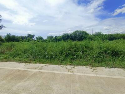 ขาย - ที่ดินหนองเสือ ปทุมธานี, ปทุมธานี