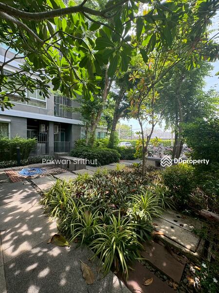 For Sale - Dcondo Nernpra Rayong, Rayong