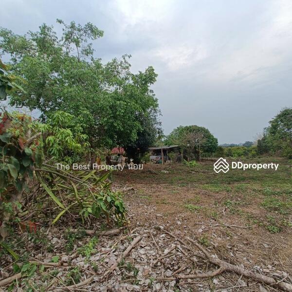 ขาย - บ้านเดี่ยวพร้อมที่ดินลับแล อุตรดิตถ์, อุตรดิตถ์