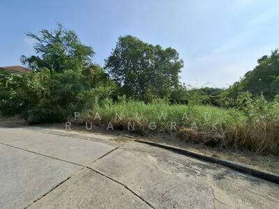 ขาย - โครงการชัยพฤกษ์ ซอยวัดลาดปลาดุก, นนทบุรี