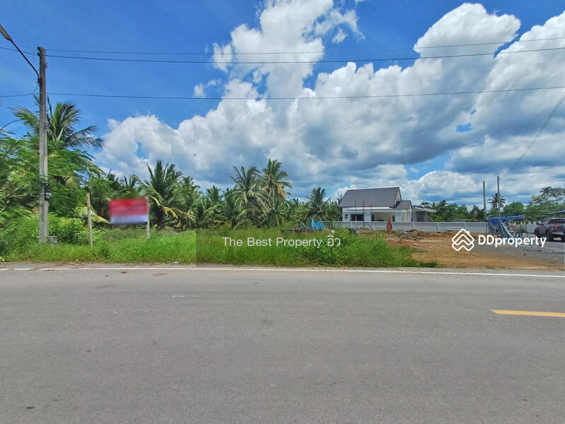 ขาย - ที่ดินลาดใหญ่ สมุทรสงคราม, สมุทรสงคราม