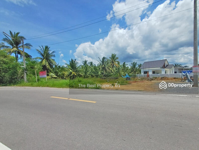 For Sale - ที่ดินลาดใหญ่ สมุทรสงคราม, Samut Songkhram