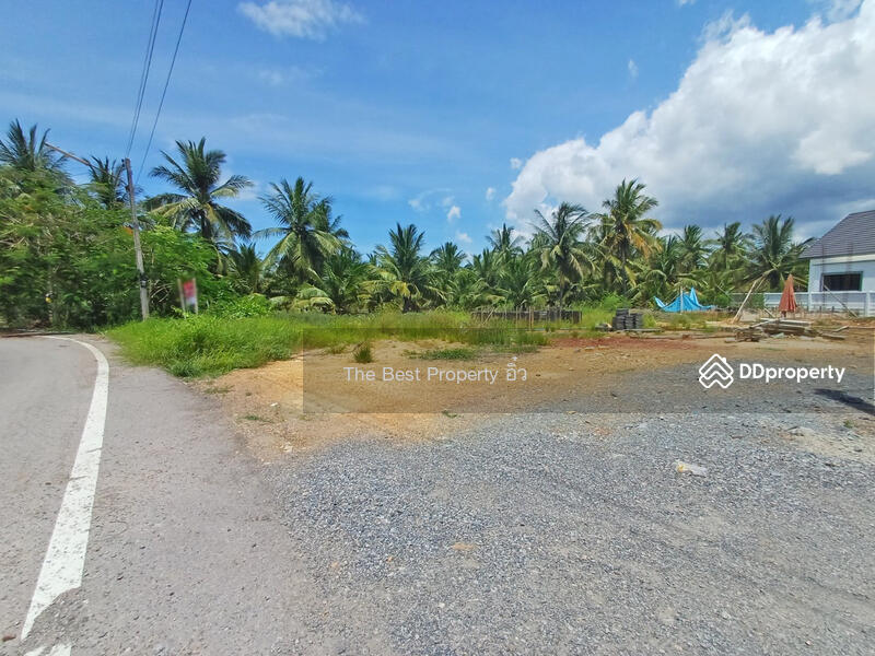 For Sale - ที่ดินลาดใหญ่ สมุทรสงคราม, Samut Songkhram