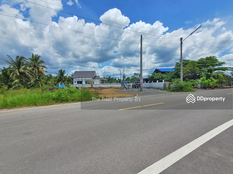 ขาย - ที่ดินลาดใหญ่ สมุทรสงคราม, สมุทรสงคราม