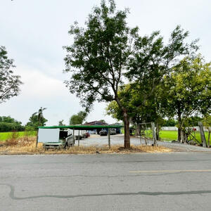 ขาย - ที่ดินพร้อมบ้าน เนื้อที่2ไร่ ใกล้ซอยหาดเติมรัก วัดลาดปลาดุก บางบัวทอง, นนทบุรี