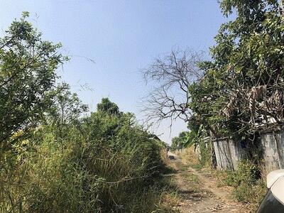 ขาย - ที่ดิน ถนนเลียบด่วนลำลูกกา, ปทุมธานี