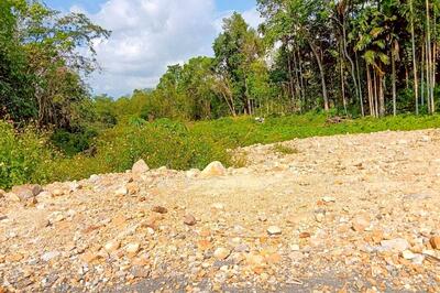 ขาย - NI-814047 ที่ดินเปาะเส้ง 3 ไร่ 50 ตร.ว. ยะลา ใกล้ตลาดใหญ่สามแยกบ้านเนียง, ยะลา