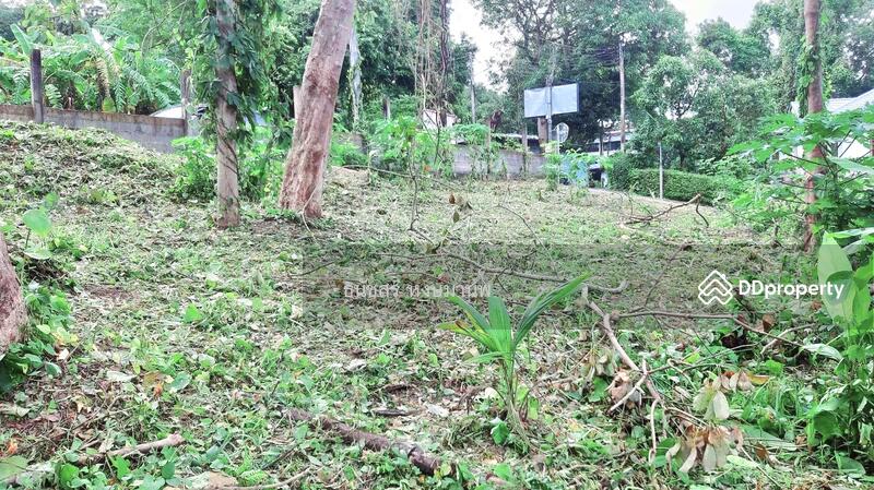 For Sale - Selling, Phuket