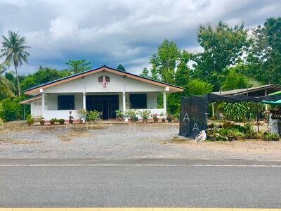 ขาย - เขาขาว ทุ่งสง, นครศรีธรรมราช