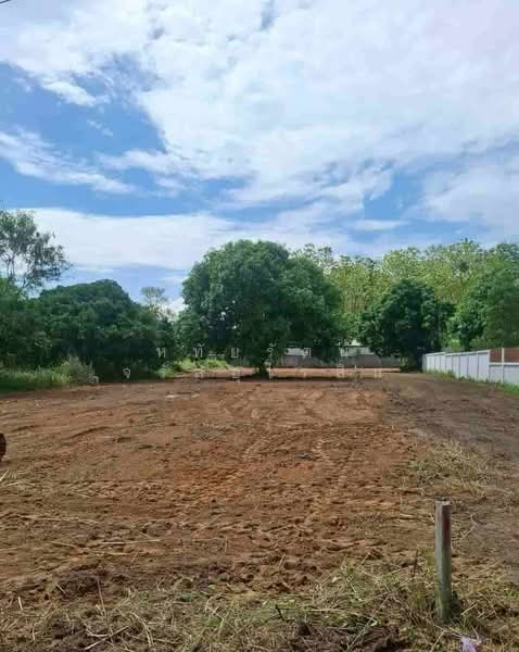 ขายที่ดิน หลังสวนนงนุช ใกล้ม.แม่โจ้ เชียงใหม่, Chiang Mai, เกษตรใหม่, Nong Harn, San Sai, Chiang Mai, , 667 sqm, Land For Sale, by หทัยรัตน์ จรัสอุไรสิน, 11876290 - DDproperty.com