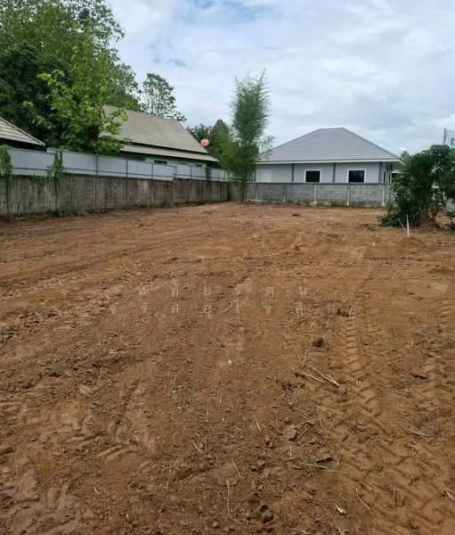 ขายที่ดิน หลังสวนนงนุช ใกล้ม.แม่โจ้ เชียงใหม่, Chiang Mai, เกษตรใหม่, Nong Harn, San Sai, Chiang Mai, , 667 sqm, Land For Sale, by หทัยรัตน์ จรัสอุไรสิน, 11876290 - DDproperty.com