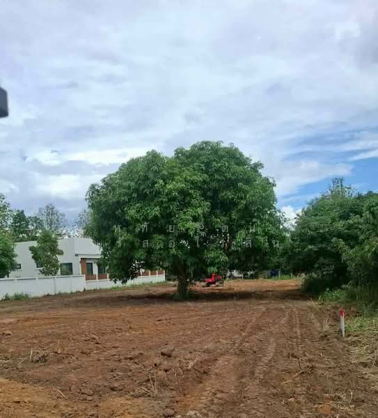ขายที่ดิน หลังสวนนงนุช ใกล้ม.แม่โจ้ เชียงใหม่, เชียงใหม่, เกษตรใหม่, หนองหาร, สันทราย, เชียงใหม่, 667 ตร.ม., ที่ดิน ขาย, โดย หทัยรัตน์ จรัสอุไรสิน, 11876290 - DDproperty.com