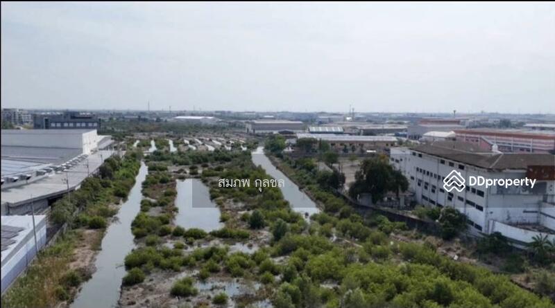 For Rent - 80521 - ให้เช่าที่ดินแปลงใหญ่ 51-3-57 ไร่ ติดถนนบางนา-ตราด ชลบุรี ทำเลทองศักยภาพสูง, Chon Buri