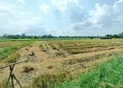 ขาย - ที่ดินบ้านใหม่ นครราชสีมา, นครราชสีมา
